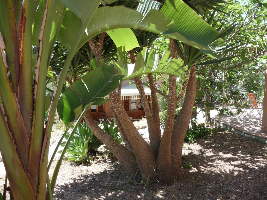 Villa Paladino Solunto Santa Flavia Esterno foto
